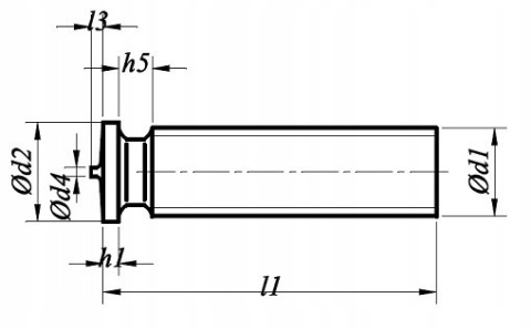 M10x25 Kołki do zgrzewania ISO 13918 miedziowane 200szt