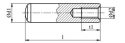 10x45 Kołki z gwintem wewnętrznym DIN 7979D 1szt.