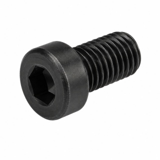 M20x100 Śruba z obniżonym łbem walcowym i gniazdem sześciokątnym 8.8 bez pokrycia DIN 7984 - 25 szt.
