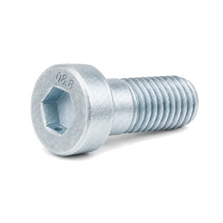 M5x50 Śruba z niskim łbem walcowym i gniazdem sześciokątnym 8.8 ocynk DIN 6912 - 5 szt.