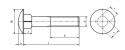 Śruby zamkowe M10x240 kl.4.8 ocynk DIN 603 2szt.