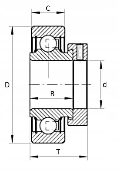 Łożysko RAE25-NPP-FA106 INA 25x52x31 Łożysko RAE25-NPP-FA106 INA 25x52x31