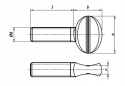 Śruba kciukowa M10x25 ocynk AN 264 1 szt.
