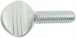 Śruba kciukowa M6x10 ocynk AN 264 5 szt.
