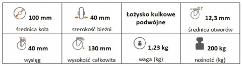 Zestaw kołowy skrętny 100mm nośn 200kg otwór 12,3 Zestaw kołowy skrętny 100mm nośn 200kg otwór 12,3