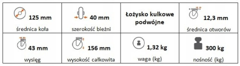 Zestaw kołowy skrętny 125mm nośn 300kg otwór 12,3 Zestaw kołowy skrętny 125mm nośn 300kg otwór 12,3