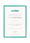 2204 2RS CODEX Łożysko kulkowe wahliwe 20x47x18