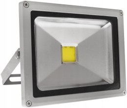 NAŚWIETLACZ PLATYN LED IP65 COB 10W 900LM