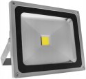 NAŚWIETLACZ PLATYN LED IP65 COB 10W 900LM