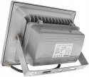 NAŚWIETLACZ PLATYN LED IP65 COB 10W 900LM