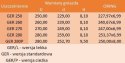Uszczelniacz tłokowy GER 250 250x229x8,1 Uszczelniacz tłokowy GER 250 250x229x8,1