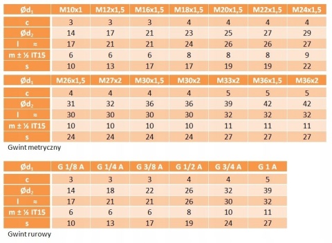 Korek gwintowany z kołnierzem M24x1,5 cz DIN 910