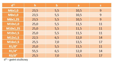 Smarowniczka kalamitka kątowa M10x1,25 Smarowniczka kalamitka kątowa M10x1,25