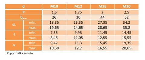 M10x45 Śruby płużne kl.8.8 DIN 608 cz 3szt.