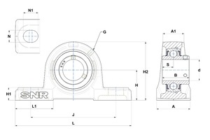 Zespół z oprawą żeliwną UCP205T20 SNR