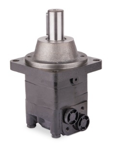 Silnik hydrauliczny MASW100 C