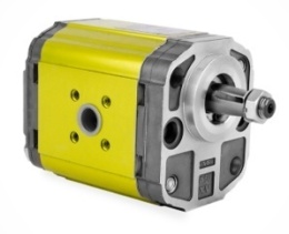 Silnik hydrauliczny dwukierunkowy XV-2M/09 cm3/obrót X2M4513FRRE